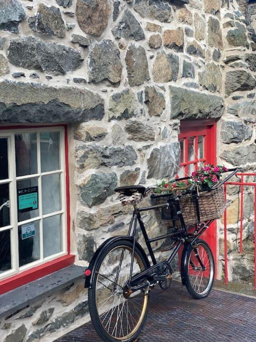 Love Lane Cottage Dolgellau Exteriör bild